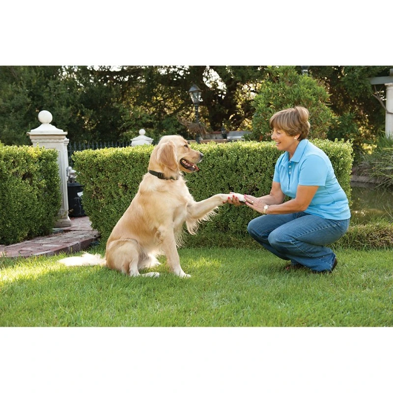 PetSafe - anti gø halsbånd store hunde
